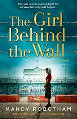 The girl behind the wall : a novel