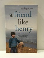 A friend like Henry