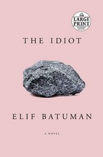 The idiot : a novel