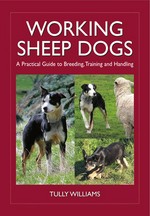 Working sheep dogs : a practical guide to breeding, training and handling