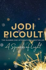 A spark of light : a novel